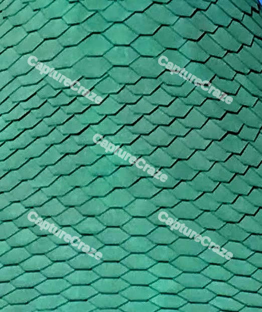 Green Scales